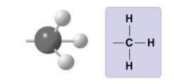 <p>Methyl; nonpolar, used as a molecular tag in methylation.</p>