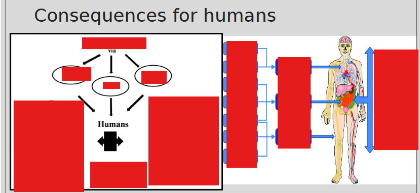 <p>What are the consequences of microplastics for humans?</p><p>1</p>