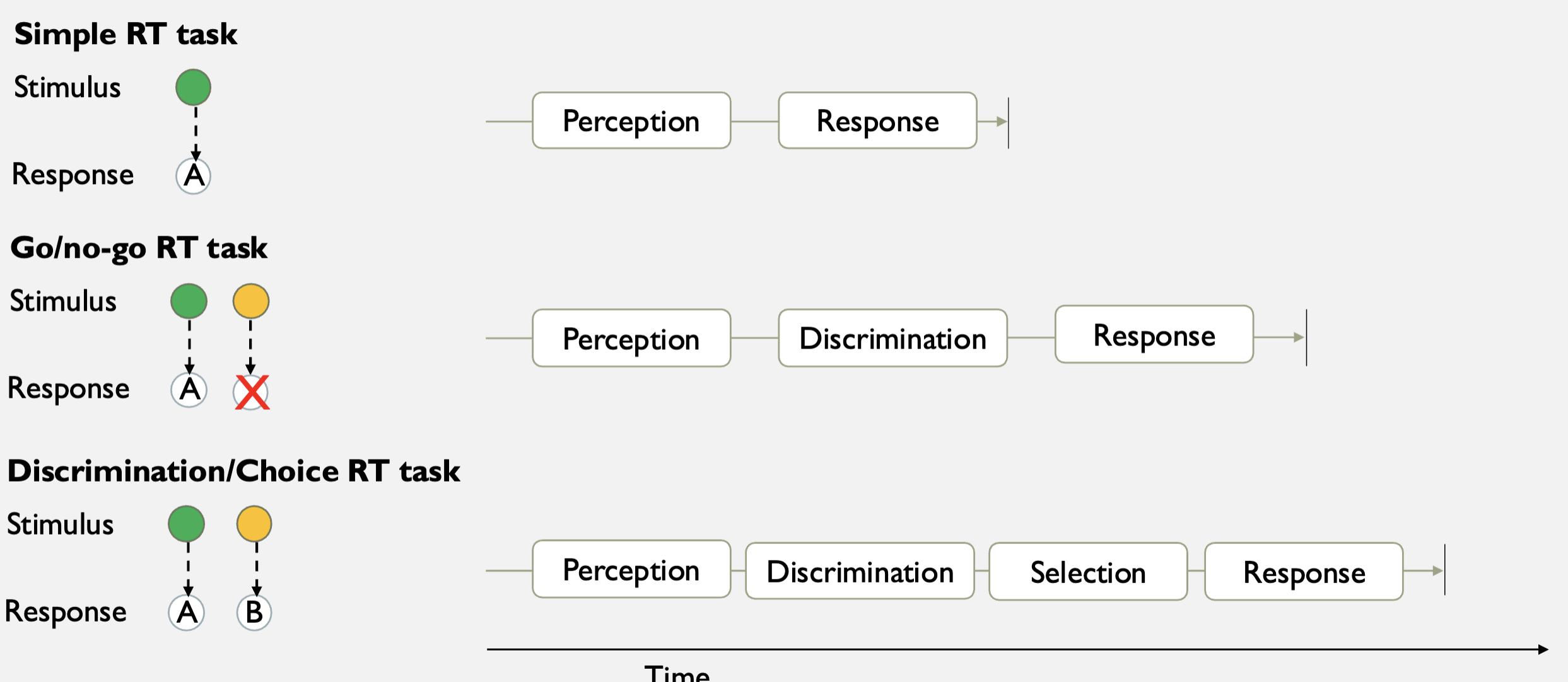 <p>Use of <strong>mental chronometry</strong>. Basically, they measure the reaction time to a response. Then they measure the reaction time to a response with something like discrimination and/or selection. They then subtract the normal reaction time to a response from the discrimination and/or selection to measure the cognitive process speed of discrimination and/or selection.</p>