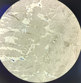 <p>What is this?</p>