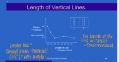 <p>What length of vertical lines will result in the best stereoacuity?</p>