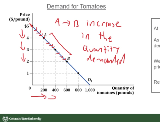 <p>How to represent the demand curve mathematically? using Tomatoes example</p><p>The demand curve on the Tomatoes example </p><p>Qd = 1,000 - 200P</p><p>The Qd is the quantity of tomatoes demanded ( in pounds) and the P is the price of tomatoes ( $/pound) </p><p></p><p></p>