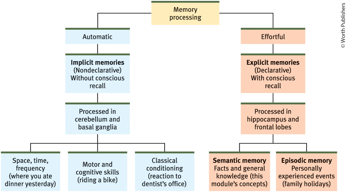 <p>Episodic memories (Explicit)</p>