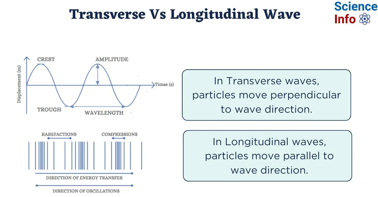 <p>Back:
Transverse Waves:<br />
Oscillation perpendicular to direction of energy.<br />
Crests and troughs.  </p>
<p>Longitudinal Waves:<br />
Oscillation parallel to direction of energy.<br />
Compressions and rarefactions.</p>