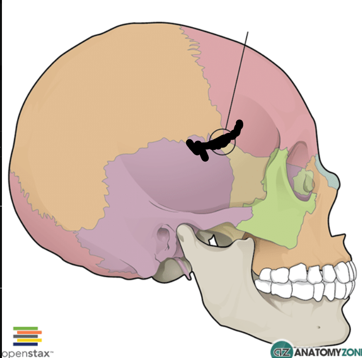 <p>What injury / condition? </p>