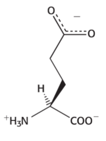 <p>negatively charged at physical pH</p>