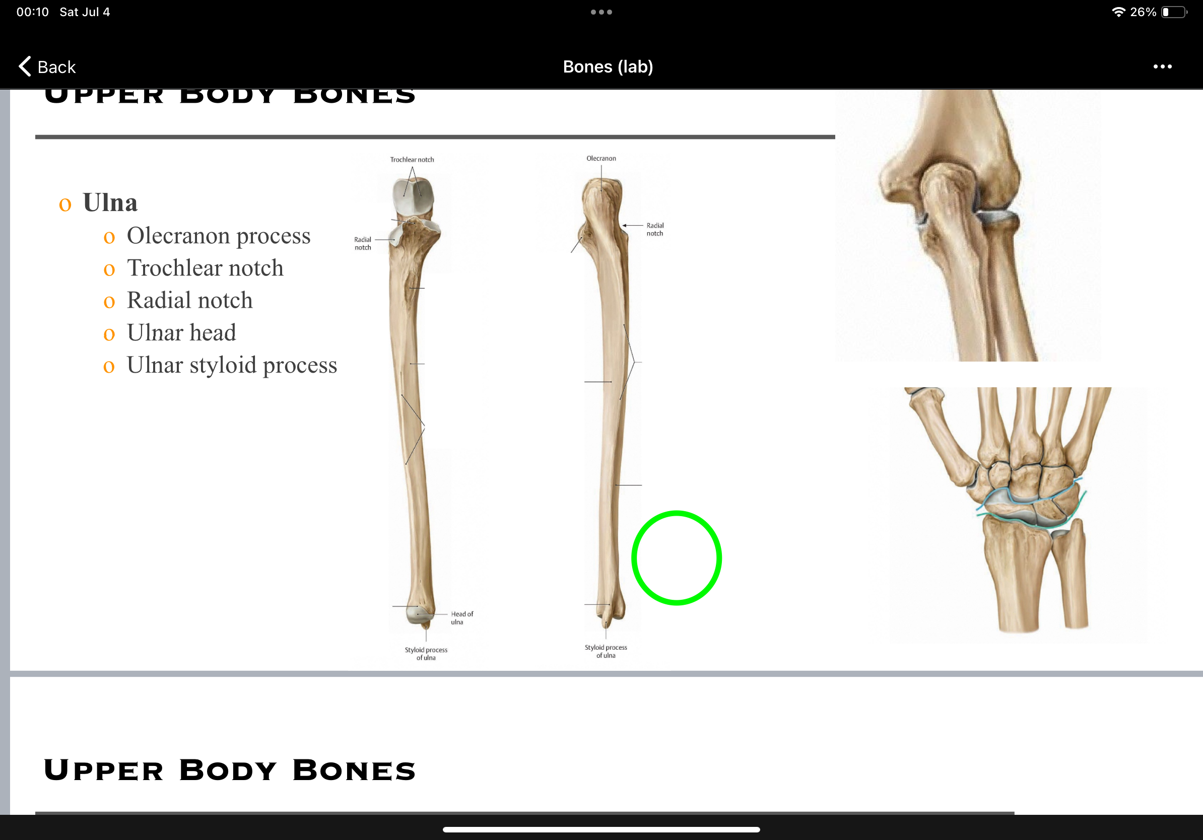 knowt flashcard image
