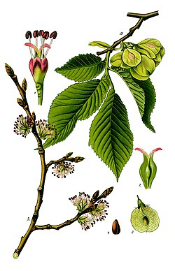 <p></p>