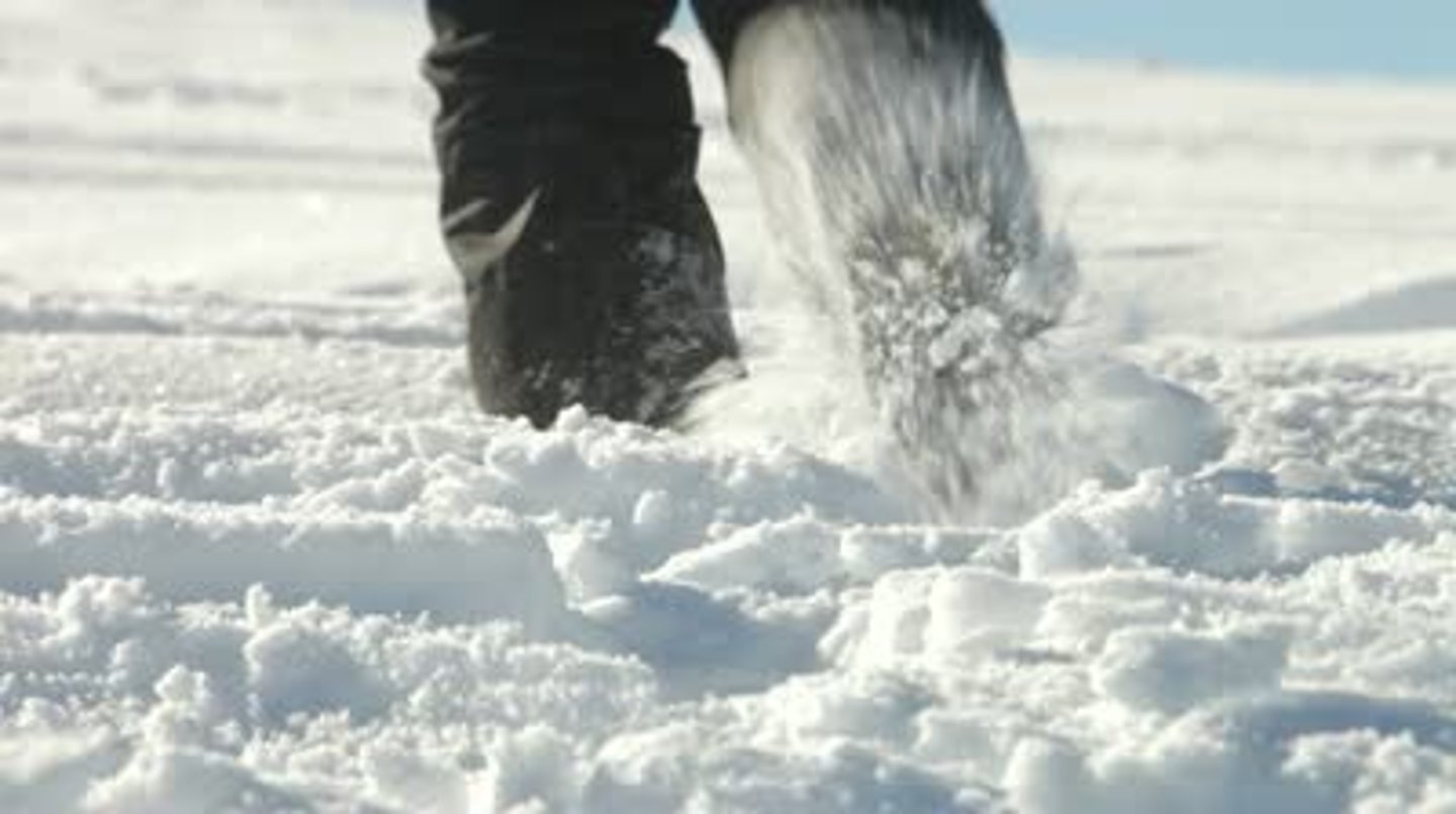 <p>snow fresh and hard</p>