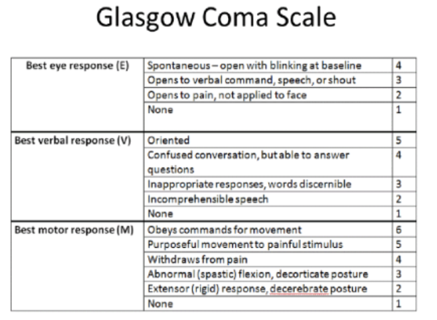 <ul><li><p>Eye opening/response</p></li><li><p>Verbal response</p></li><li><p>Motor response (posturing)</p></li><li><p>Alertness</p></li><li><p>Respiratory status</p></li><li><p>Symmetry</p></li><li><p>Reflexes</p></li><li><p>Becomes restless, anxious initially if decreased state of consciousness</p></li></ul><p></p>
