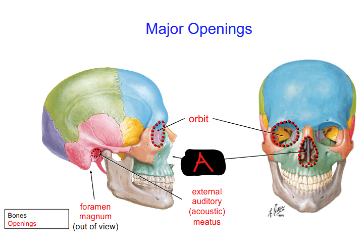 <p>Define A</p>