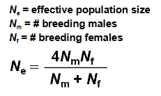 <p><span style="color: rgb(0, 0, 0);">The effective population size (EPS) is the number of individuals that contribute genes to future populations.<br>• Harem breeding structures where only a few dominant males breed have a smaller EPS.</span></p>