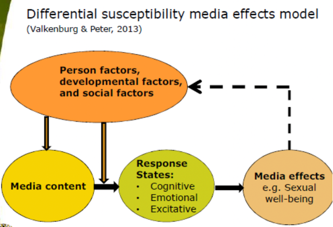 <ol><li><p>Media. (= interactie, ze kiezen wat ze kijken)</p></li><li><p>Moderatoren: <strong>persoonlijke factoren</strong> (geslacht, zelfbeeld, persoonlijkheid, ervaring), <strong>ontwikkelingsfactoren</strong>, <strong>sociale factoren</strong> (ouders, vrienden, cultuur)</p></li><li><p>Mediatie (hoe media effect heft): <strong>cognitive response</strong> (Wat denk je?),<strong> emotional response</strong> (hoe voel je?), <strong>excitative response</strong> (lichamelijke opwinding)</p></li></ol><p></p>