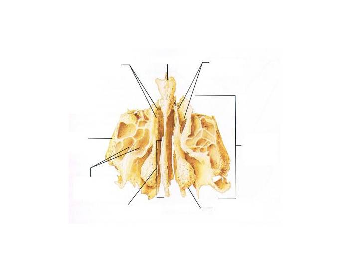 <p>what is this structure?</p>