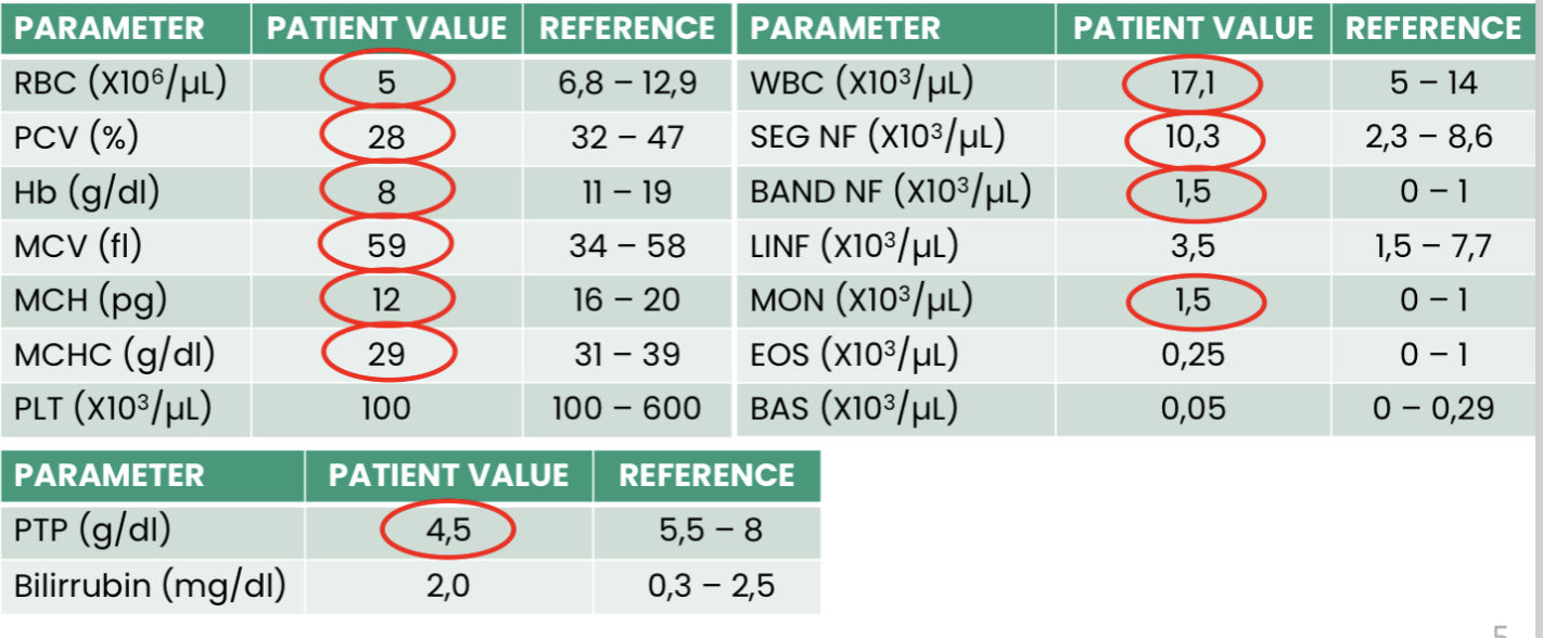 <p>Q1. What does this hemogram show?</p><p>Q2. What is the most likely etiology for the low plasma proteins in this case?</p><p>Q3. Finally, what is the conclusion?</p>