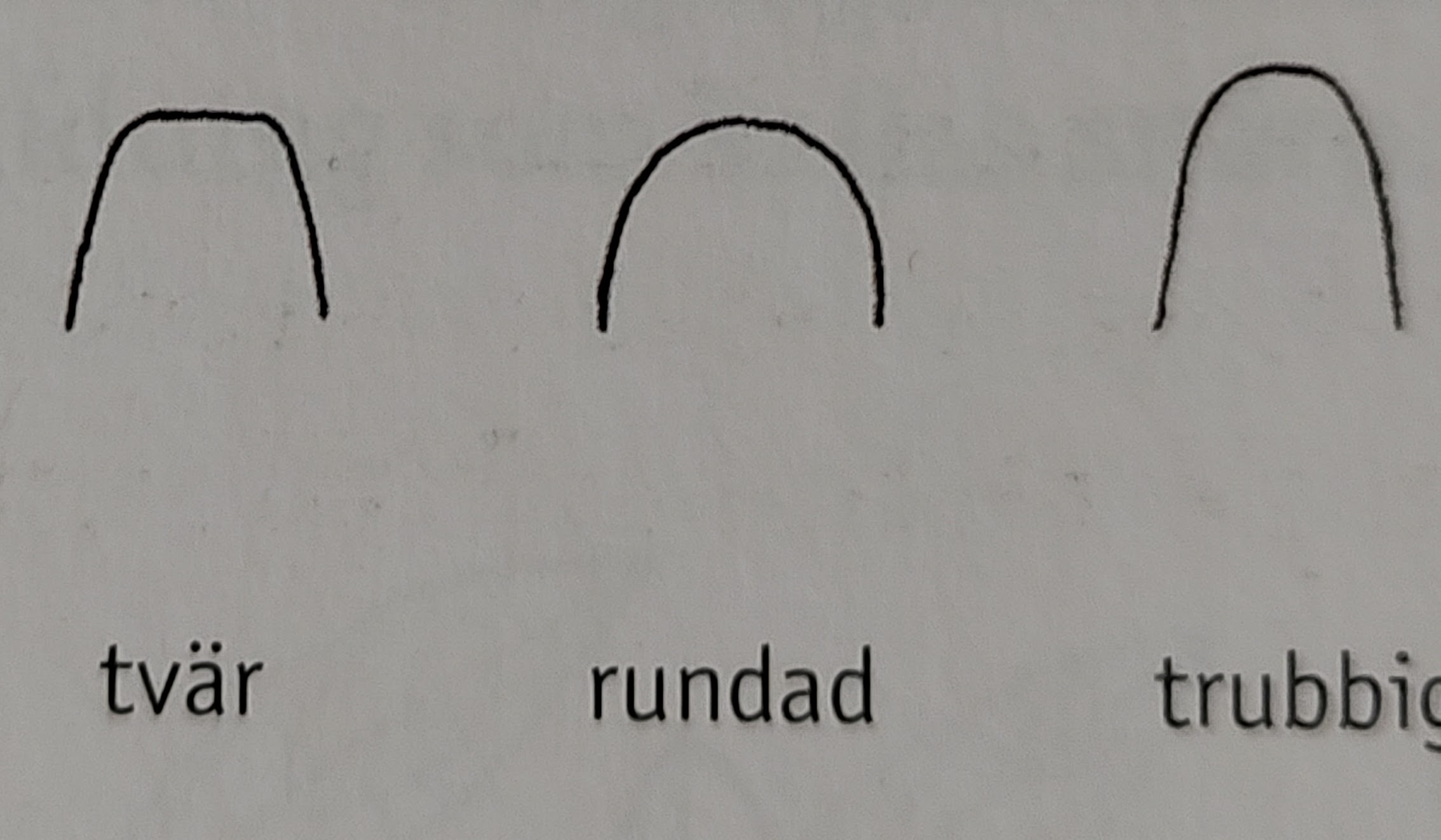<p></p>