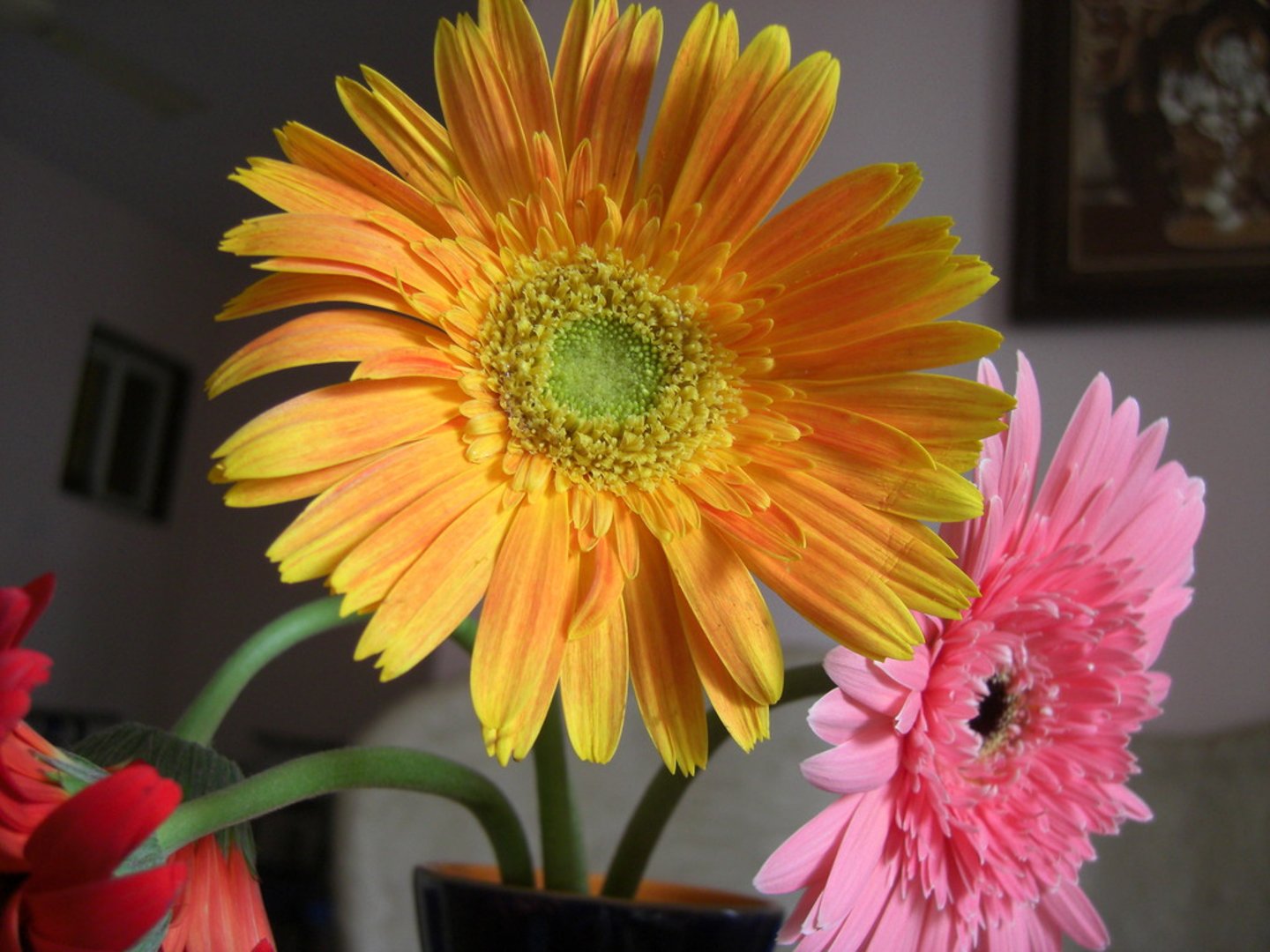 <p>花</p>