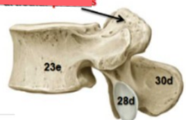 <p>30d</p>