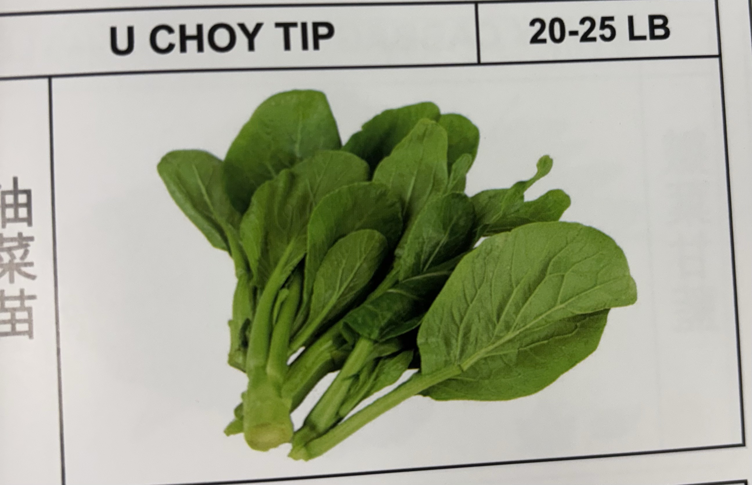 <p>U CHOY TIP</p>