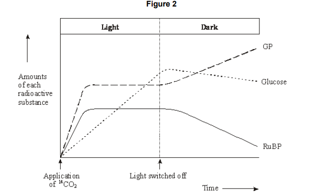 <p>Figure 2 shows the results of an experiment in which photosynthesising cells were kept in the light and then in darkness.</p><p>In the experiment the cells were supplied with radioactively labelled <sup>14</sup>CO<sub>2</sub> . Explain why the carbon dioxide used was radioactively labelled. (1) </p>