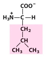 <p>Nonpolar, aliphatic</p>