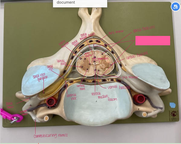 <p>What is being shown? </p>