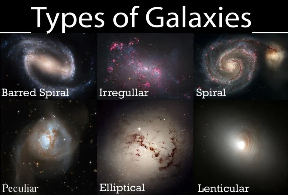 <p><span>Barred spirals sport ribbons of stars, gas, and dust that cut across their centers while unbarred spirals do not</span></p>