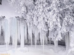 <p>very cold</p>