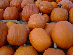 <p>Pumpkins (Units)</p>