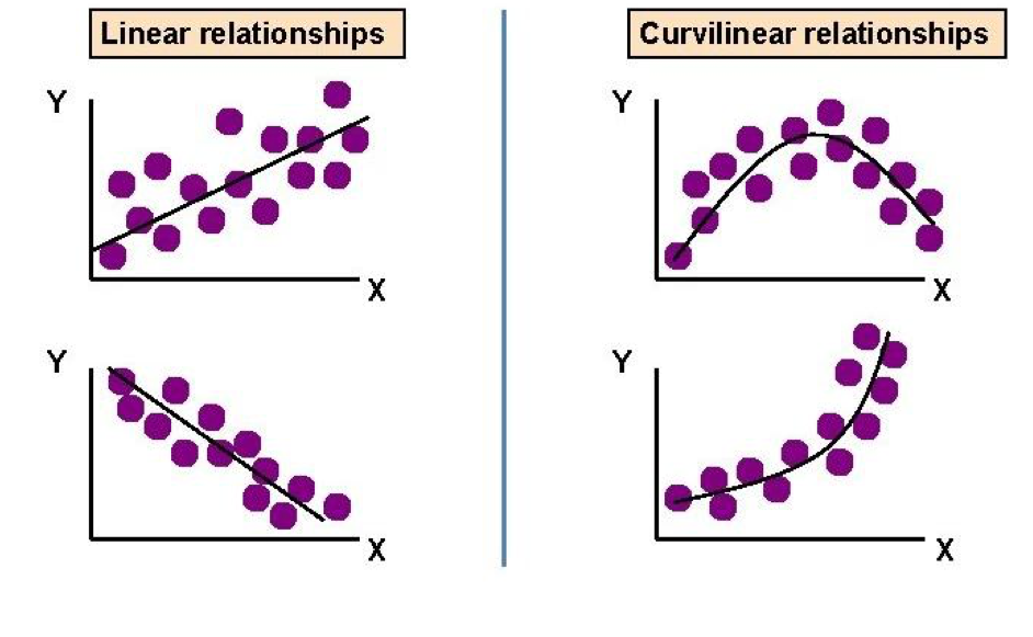 <p>curvilinear: a relationship between 2 variables where the association does not follow a straight line </p>