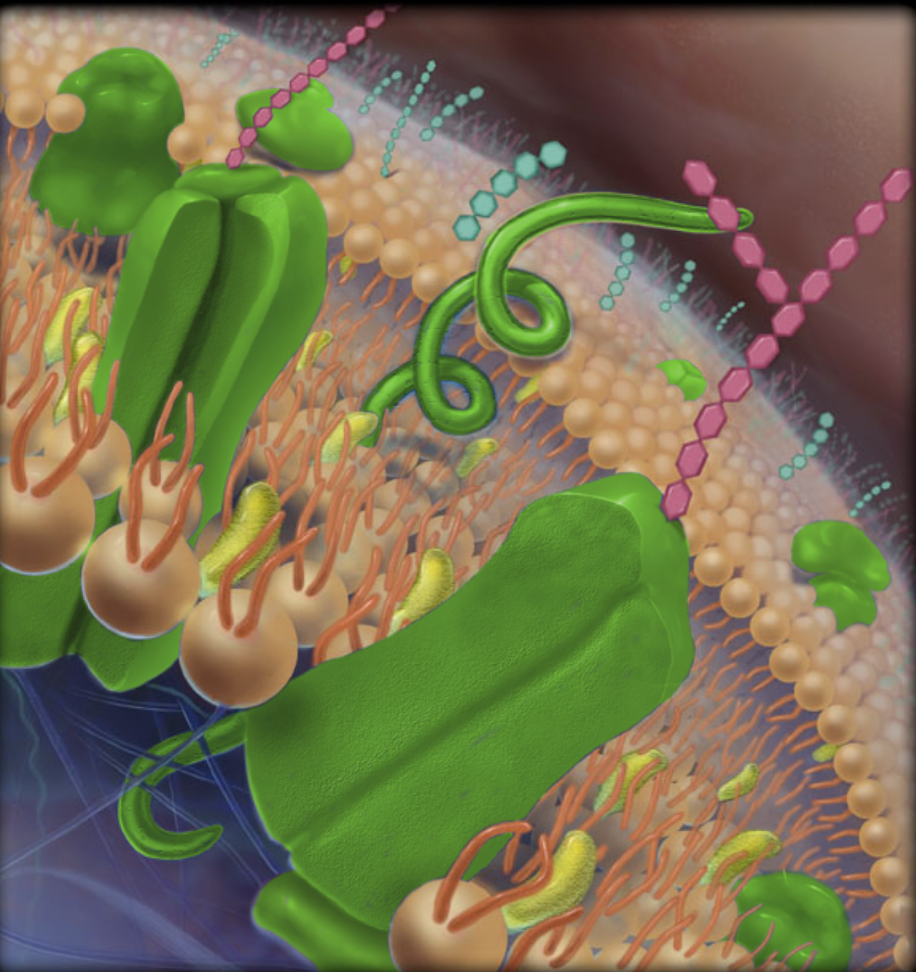 <p>part highlighted in neon green</p>