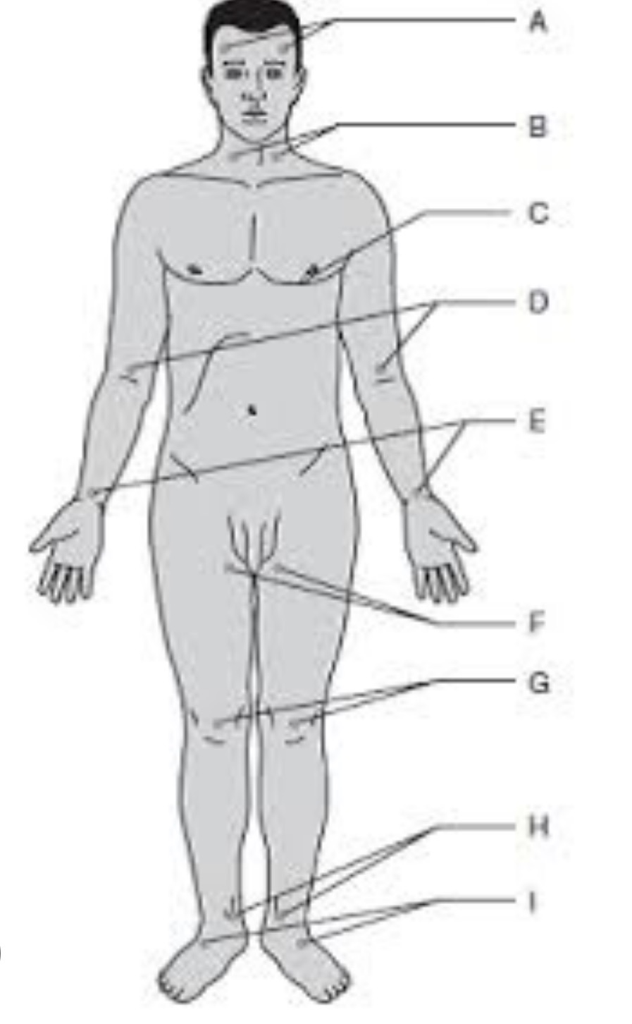 <p>E</p>