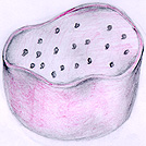 <p>Vesicles from a Golgi apparatus that contain digestive enzymes; break down food, cellular debris, and foreign invaders such as bacteria</p>