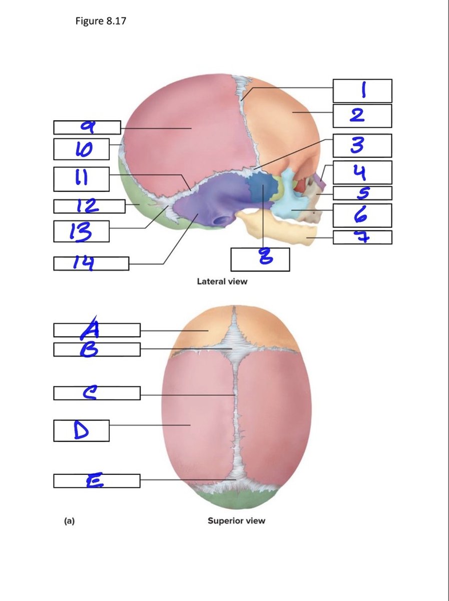 <p>3</p>