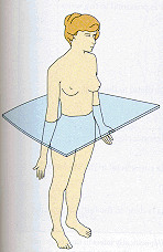 <p>horizontal plane divides the patient's body into imaginary upper (superior) and lower (inferior or caudal) halves</p>