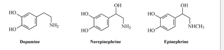 <p>Monoamine neurotransmitters, neuromodulators, and neurohormones</p>