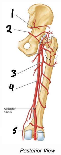 <p>3</p>