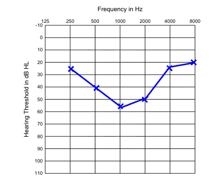 term image