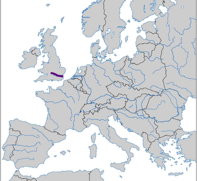 <p></p>