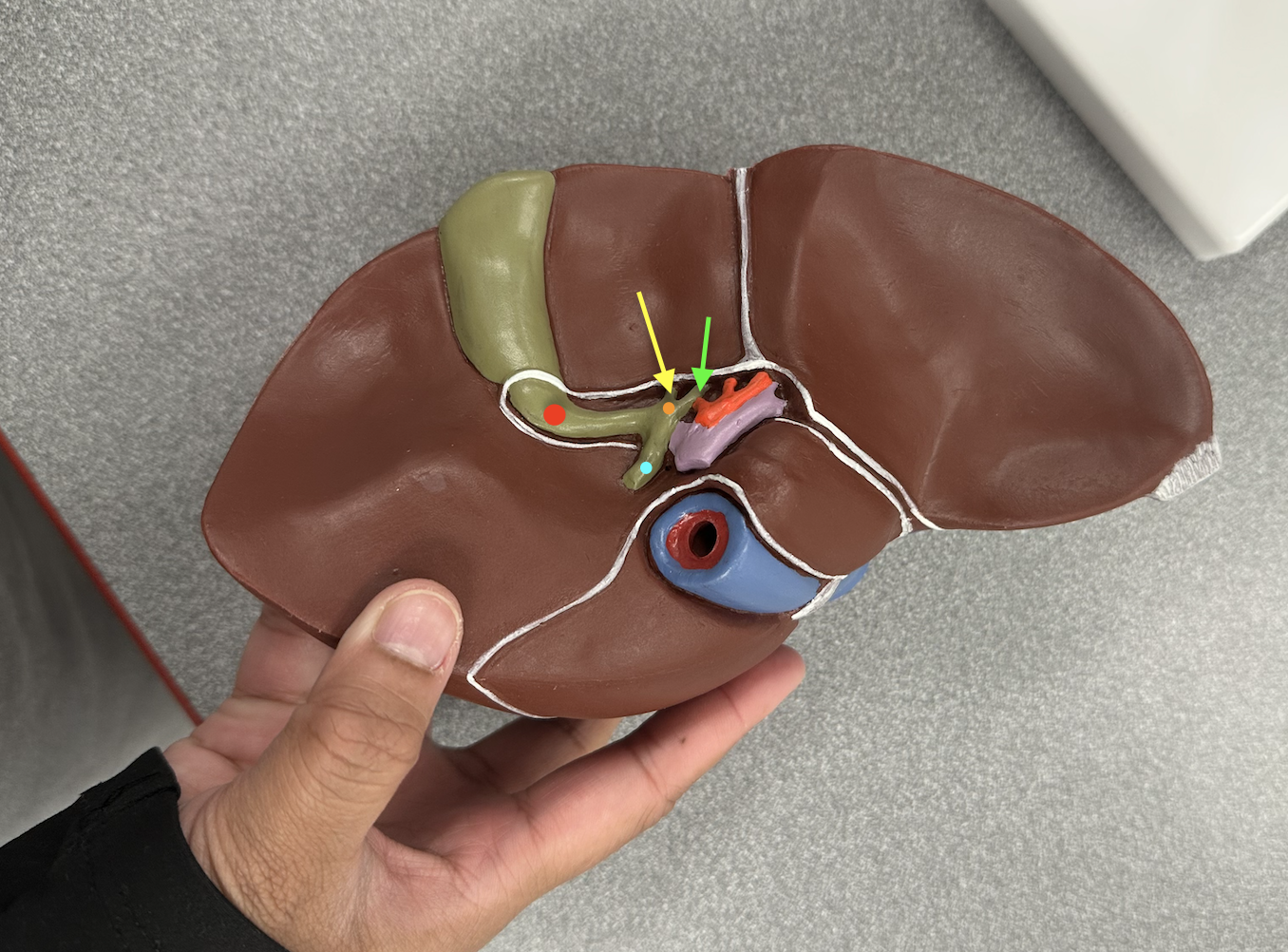 <p>Identify structures</p>