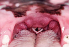 <p>What is this?</p>