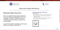 <p>Describe Moderate Stage Glaucoma as described by ICD-10 Glaucoma Staging System</p>
