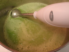 <p>immersion blender</p>
