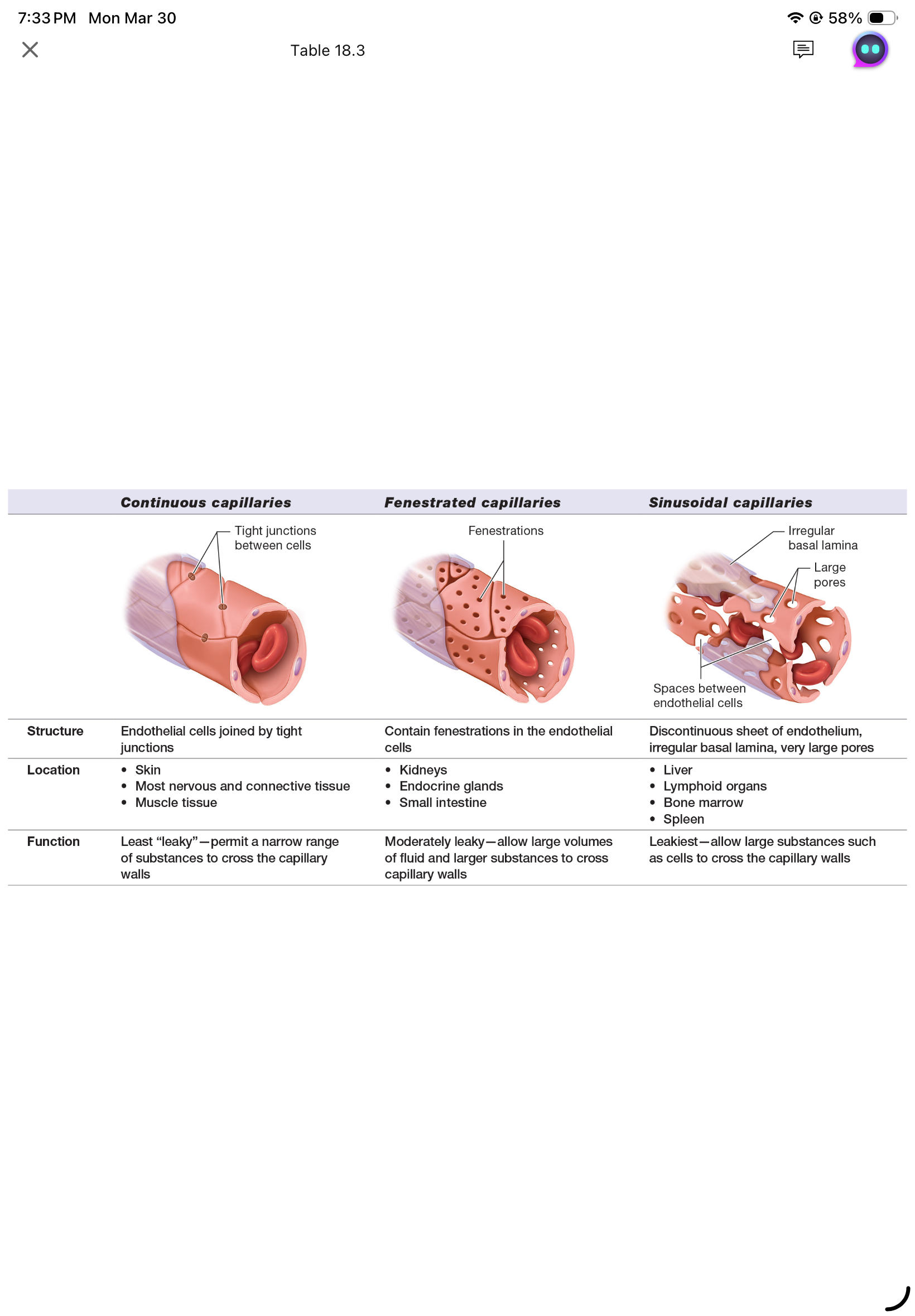 <p>continous capillary</p><p>fenestrated capillary</p><p>sinusidal capillary</p><p>table 18.3</p>