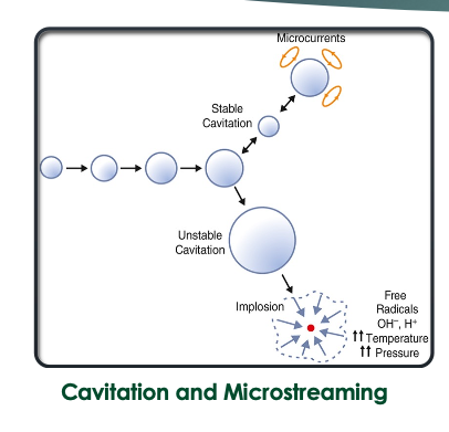 <p>cavitation, acoustic streaming, microstreaming </p>