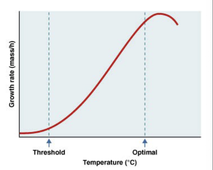 <p>metabolic rates and temps</p>