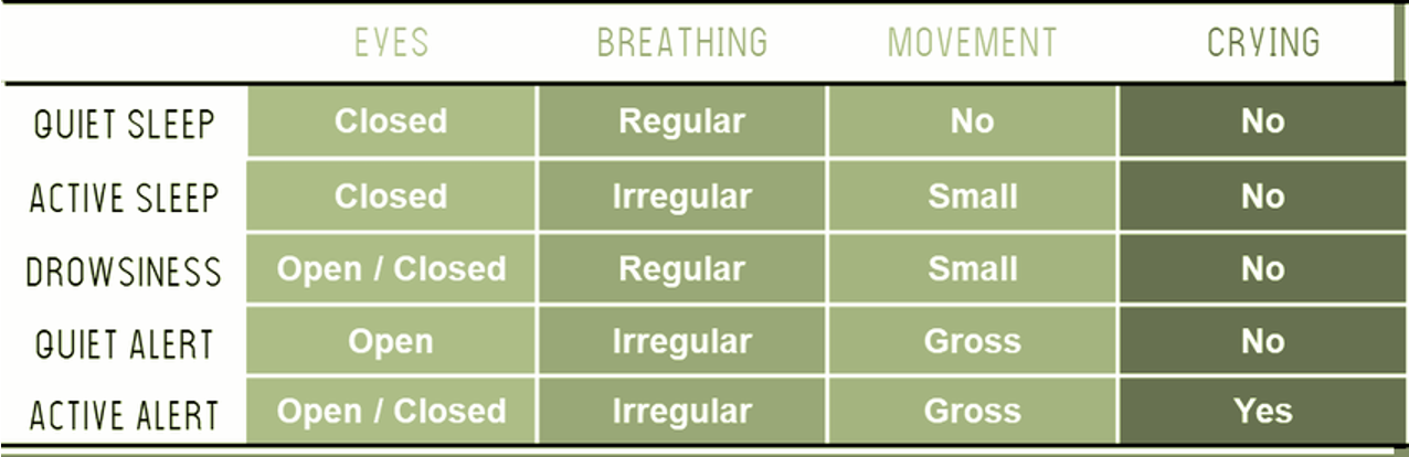 <ul><li><p>eyes = open/closed</p></li><li><p>breathing = regular </p></li><li><p>movement = small </p></li><li><p>crying = no </p></li></ul><p></p>