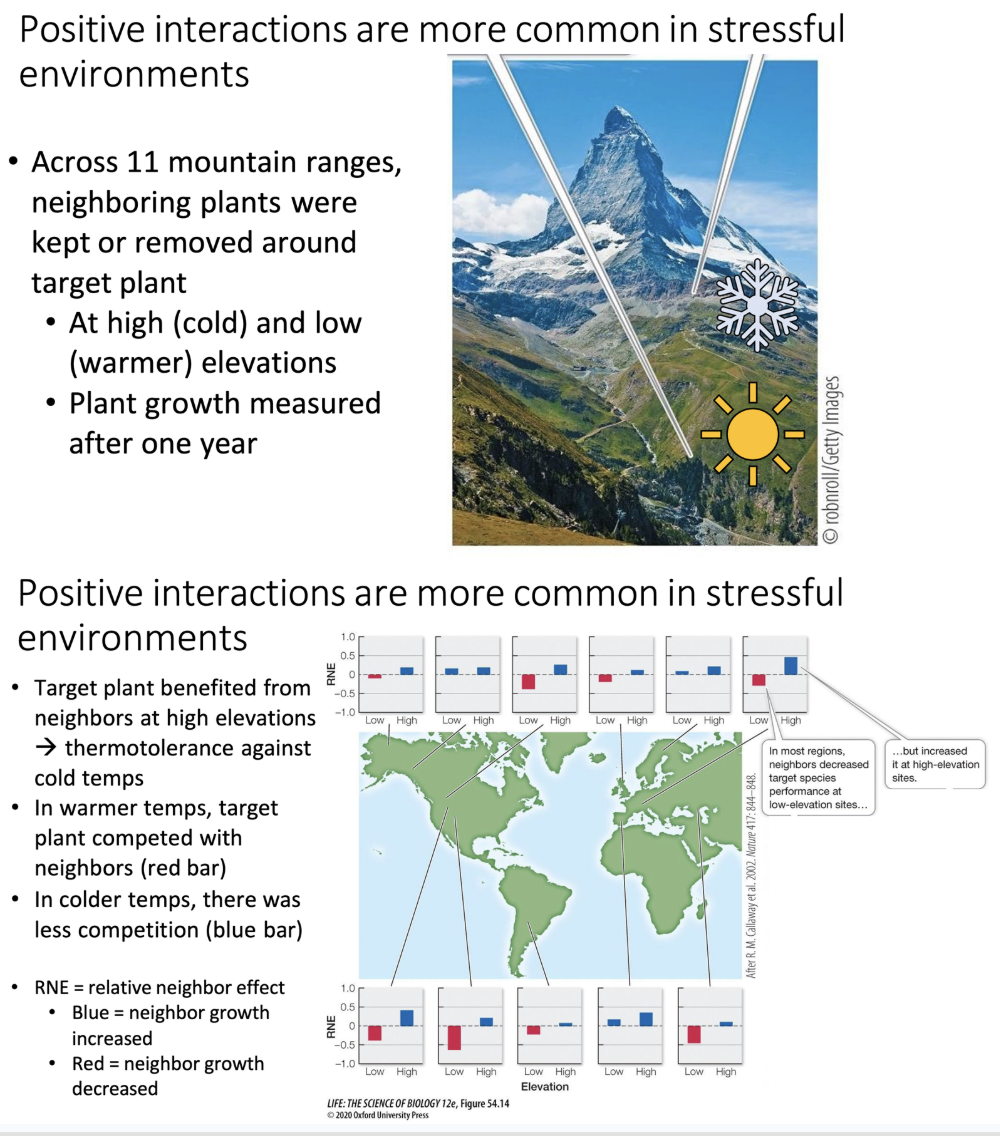 <ul><li><p>Stressful environments!</p><ul><li><p>Target plants competed less at a higher elevation and in colder temperatures (increase in neighbors in these stressful scenarios)</p></li><li><p>Look at graph for graphical representations</p></li></ul></li></ul><p></p>