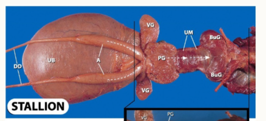 <p>What can we identify?</p>