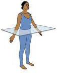 <p>Divides the patient's body into imaginary upper(superior) and lower(inferior) halves.</p>